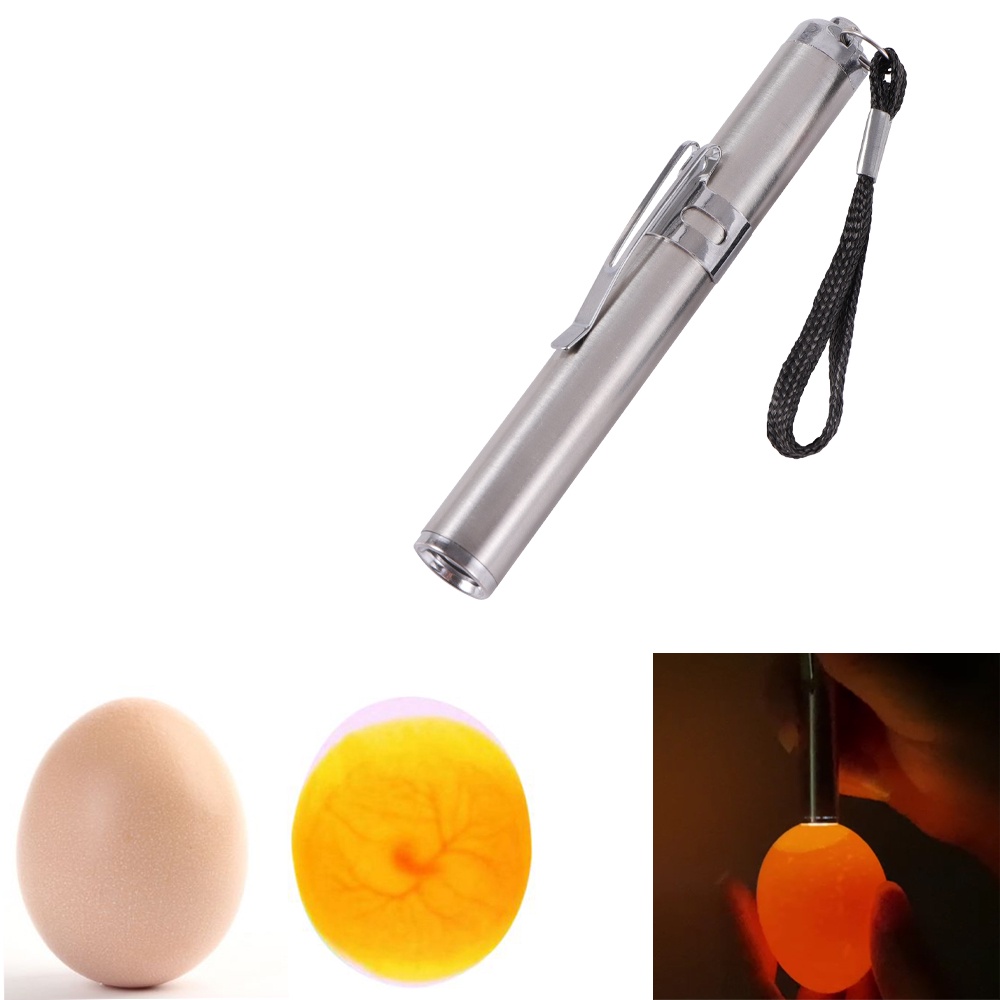 Incubator Eggtester Egg Candling Lamp LED Super Cold Equipment Stainless Steel Mini Keychain Poultry Incubation Flashlight 1 Pc