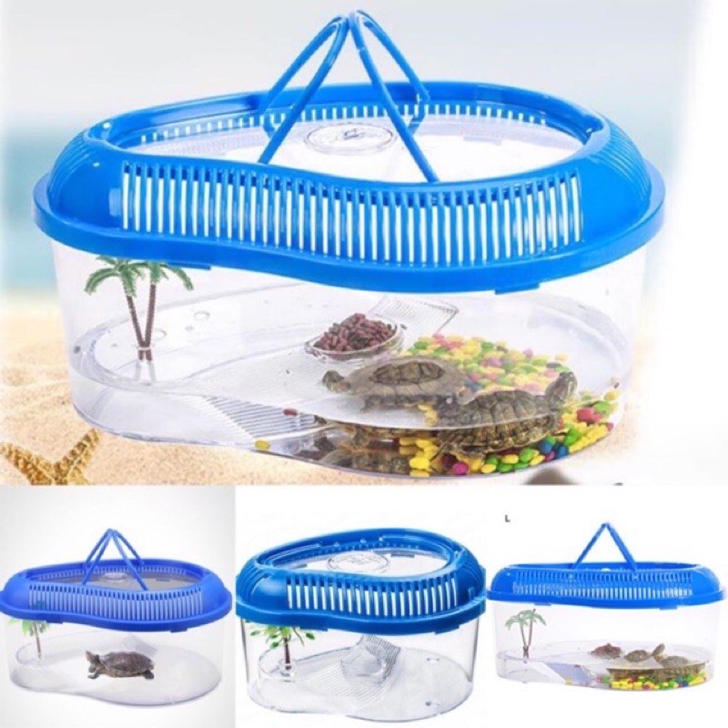 Buy Turtle Tank Small Medium Large Size Akuarium Kura Kura Bekas Kurakura Aquarium Seetracker Malaysia