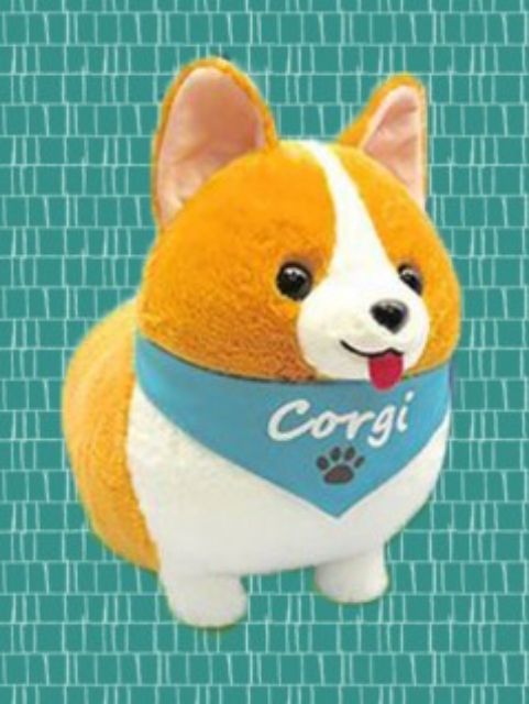 ichini corgi