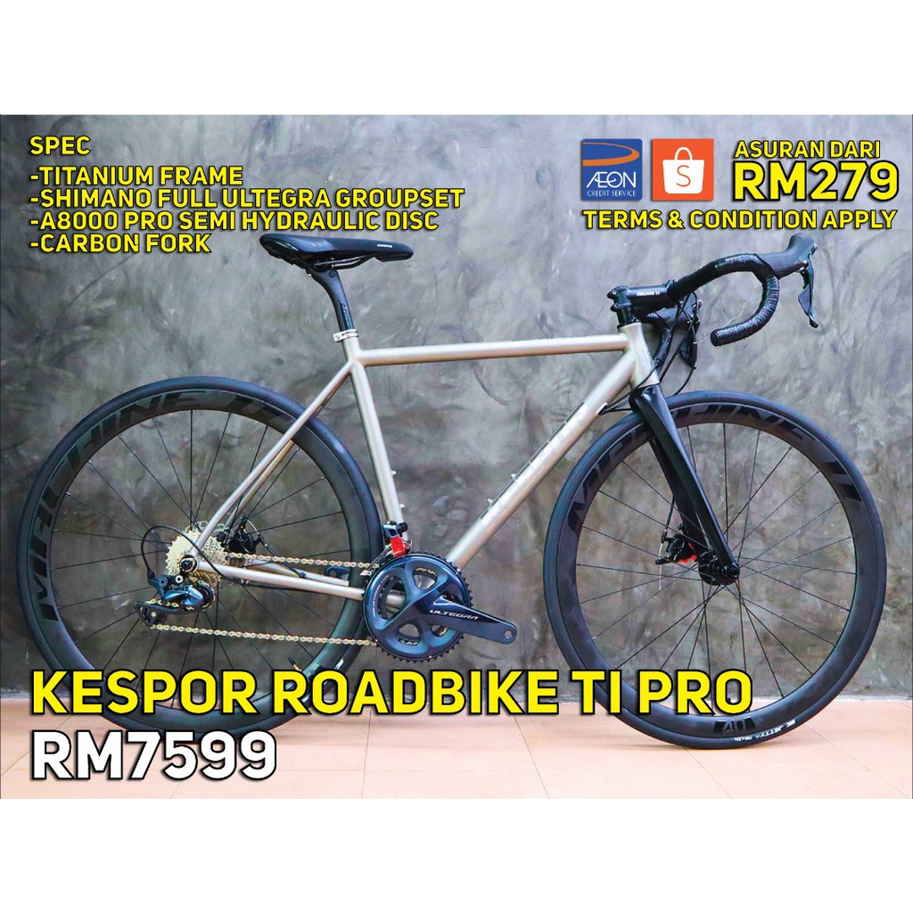 kespor frame price