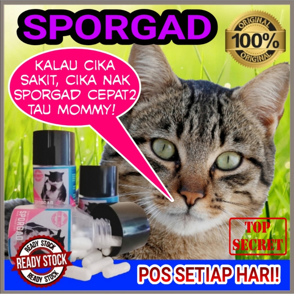 UBAT SERBAGUNA Kucing Sakit BERJANGKIT MATA PARVO SPORO Kudis Luka 