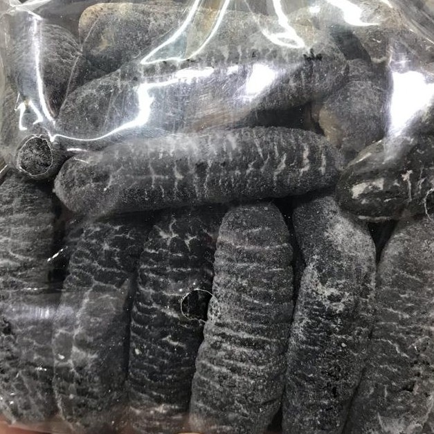 Sea Cucumber Tiger 海参秃参