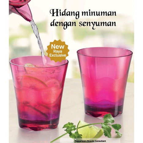 *2pcs*Tupperware Sheerly Elegant Tumbler Cup/Glass Tebal 290ml