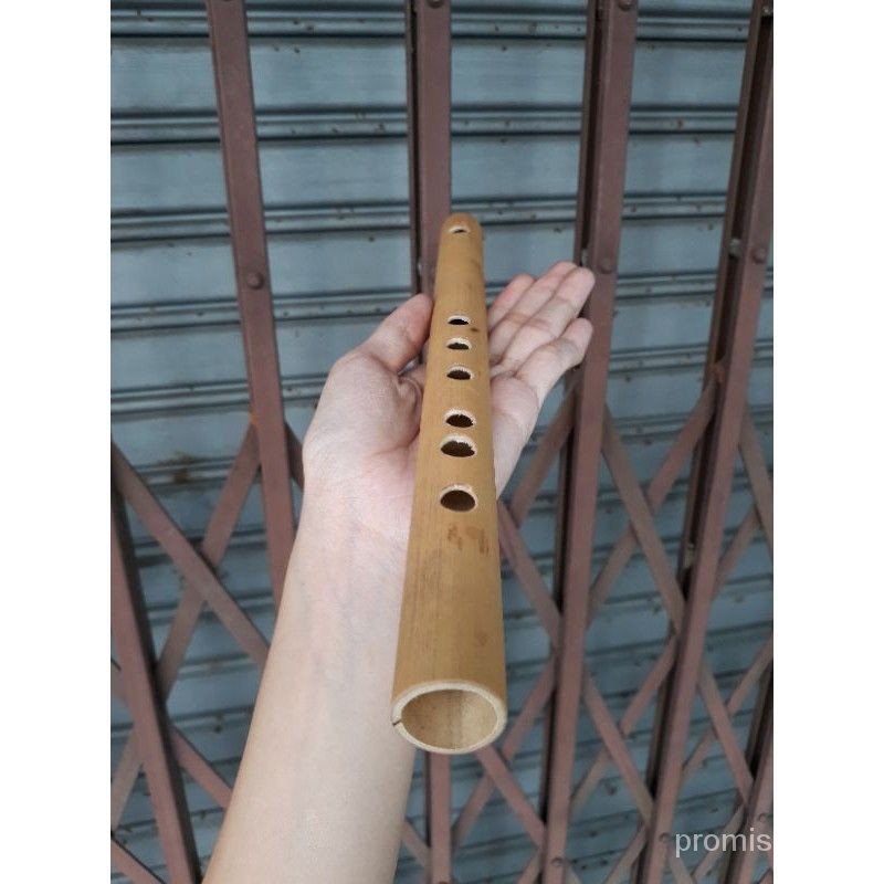 Tecw Tradisional Instrument Seruling Flute Tiup Alat Muzik Shopee Malaysia