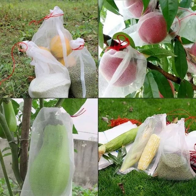 [Ready Stock in Malaysia] Garden Net Fruit Bag Wrap Fruit to Protect ...