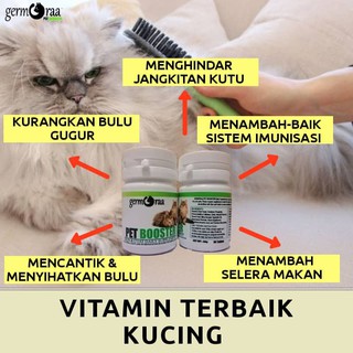 PS HERBS - SPRAY S7 u0026 CREAM S3 - MERAWAT SPORO FUNGUS KURAP KUDIS 