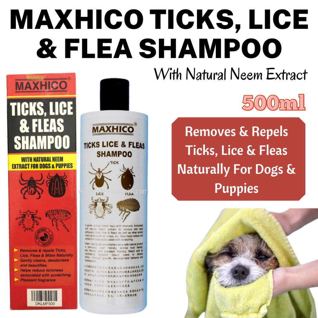 MAXHICO Ticks Lice & Fleas Shampoo For Dogs & Puppies 500ml Pet Flea