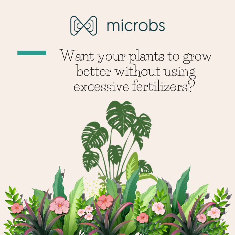 Microbs - Biofertilizer (Microbial Inoculant For Plant Growth) | Shopee ...