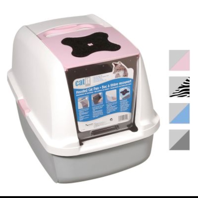 cat it litter box