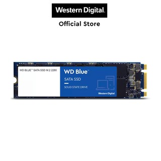 Western Digital WD Blue Laptop PC Desktop Internal Solid State Drive M.2 SSD SATA 2280 (250GB/500GB/1TB)
