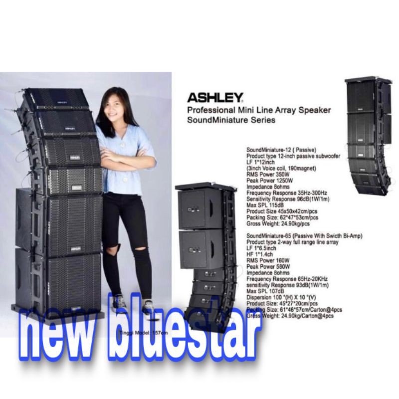 line array 6.5