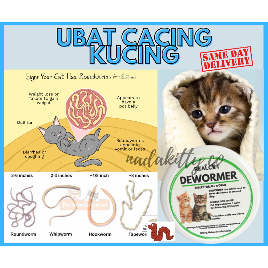 Ubat Cacing Dewormer Kucing Cat 2 Biji Shopee Malaysia