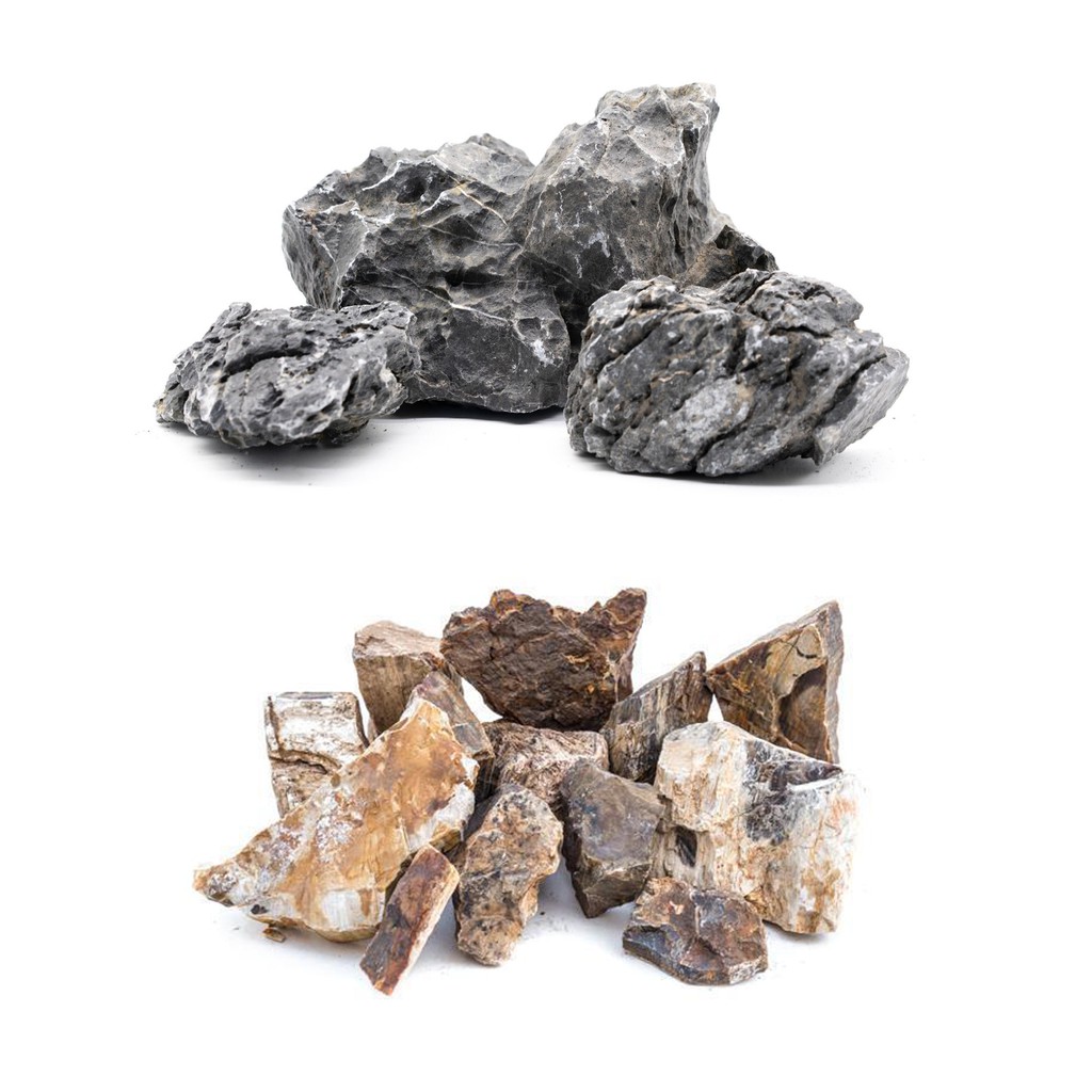 Ready Stock 1kg Aquarium Aquascaping Seiryu Stone Petrified Wood Stone Shopee Malaysia