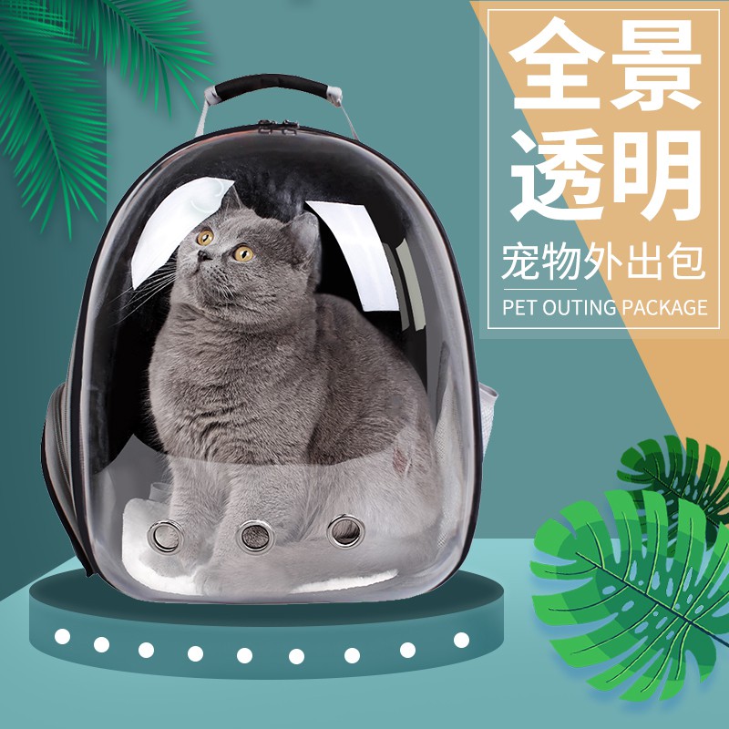 cat pack carrier