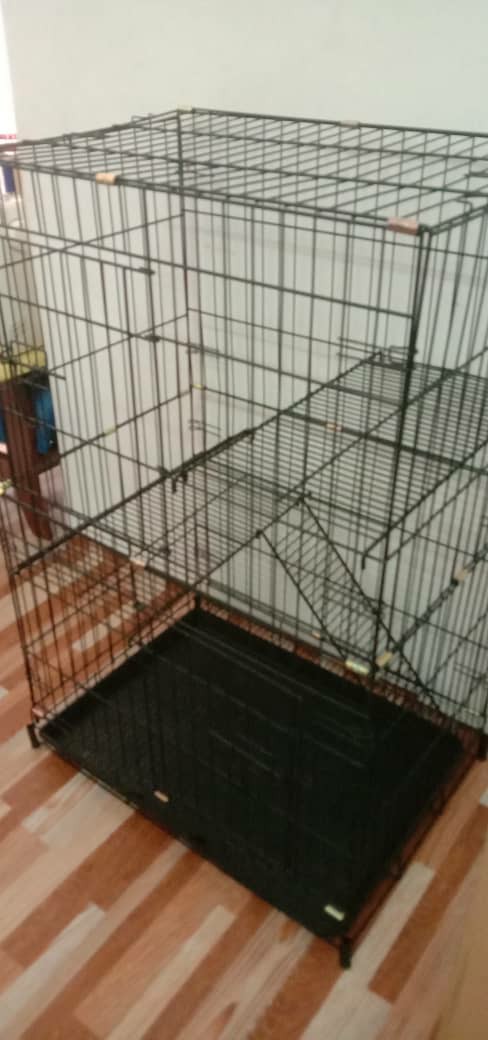 Sangkar Kucing 2 Tingkat/ Cat Cage 2 Level  Shopee Malaysia