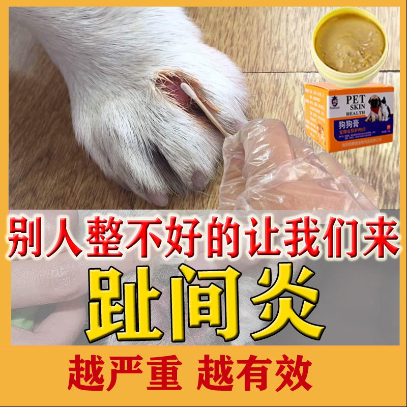 狗狗脚趾炎膏 越严重越有效 狗狗趾间炎猫咪脚趾炎指间发炎溃烂药膏护理用品