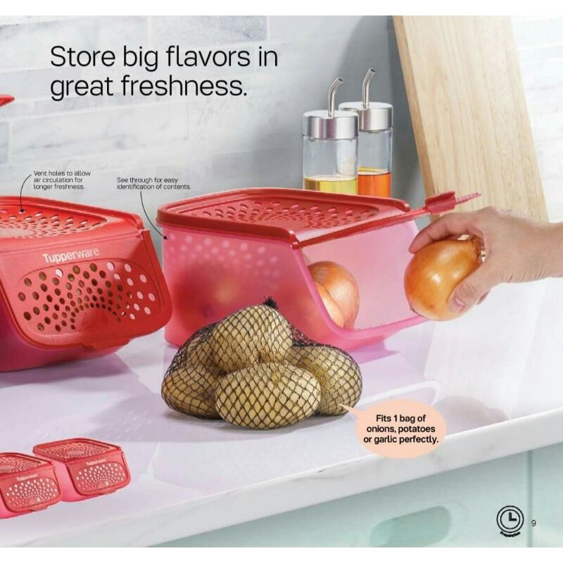 Garlic and Onion Keeper by Tupperware Shopee Malaysia