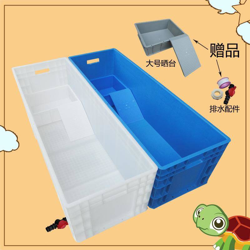 Penyu Turtle Turtle Turtle Basin Turtle Turtle Box Box Turtle Aquarium