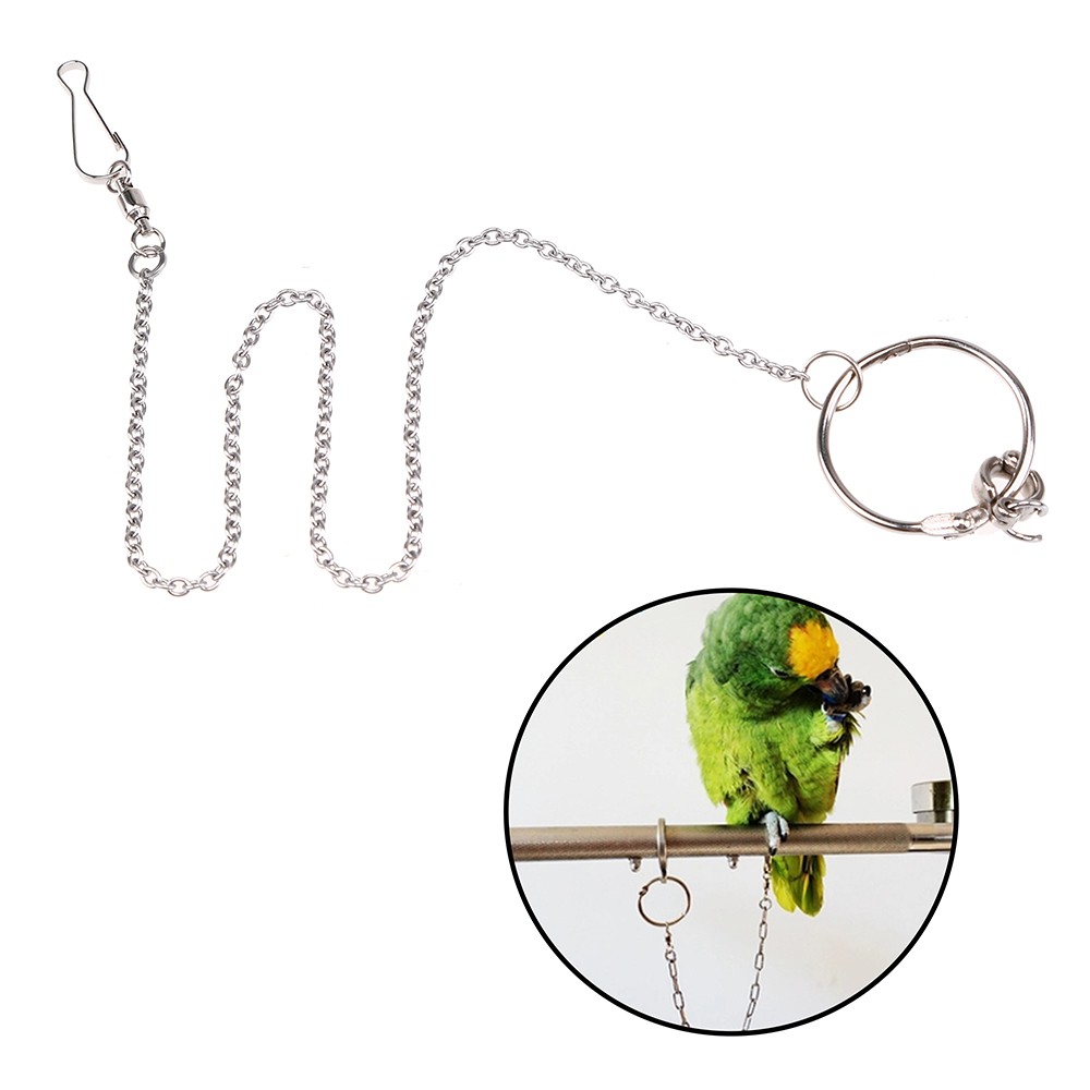 Parrot Chain with 3" Long clip Bagged. Approx 70" Long 
