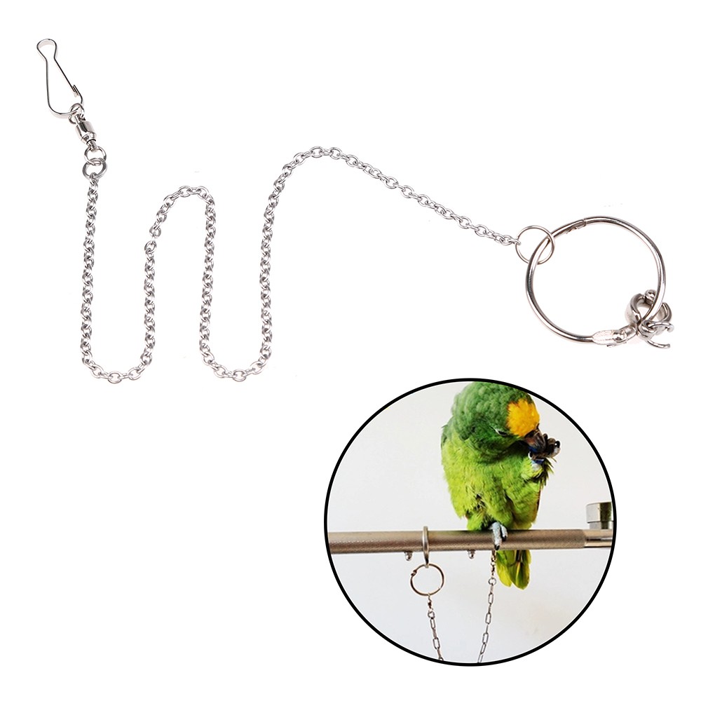 parrot leg leash