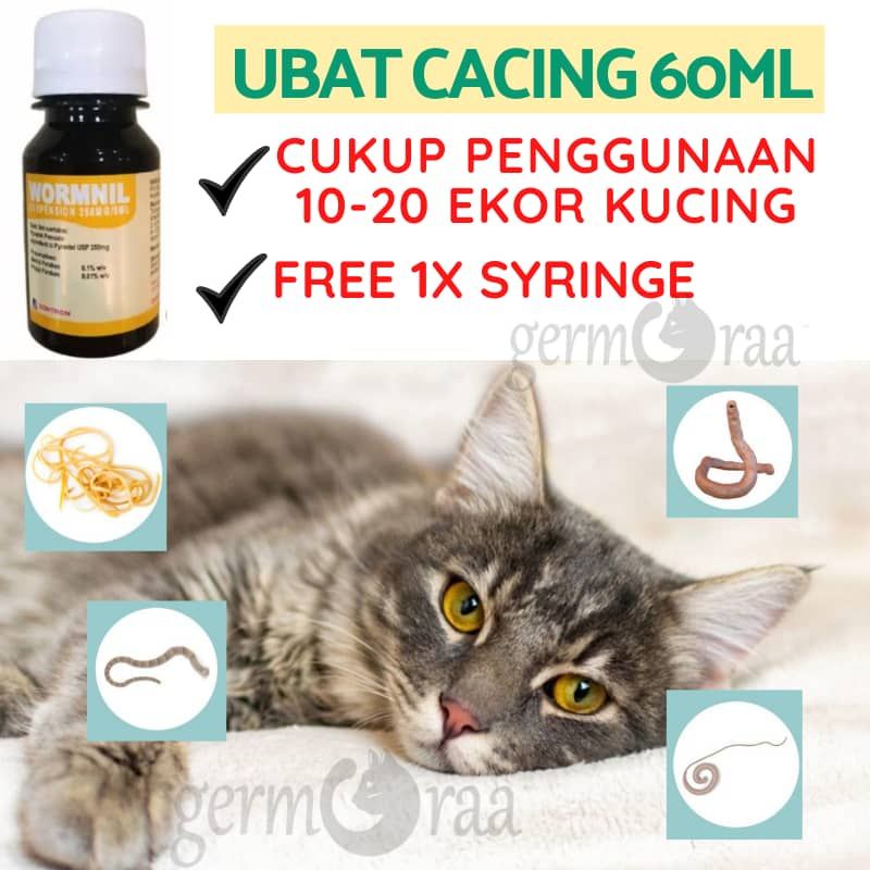 Ubat Cacing Kucing Anjing Kitten Adult Cat Pet Deworm Wormnil 60ml Shopee Malaysia