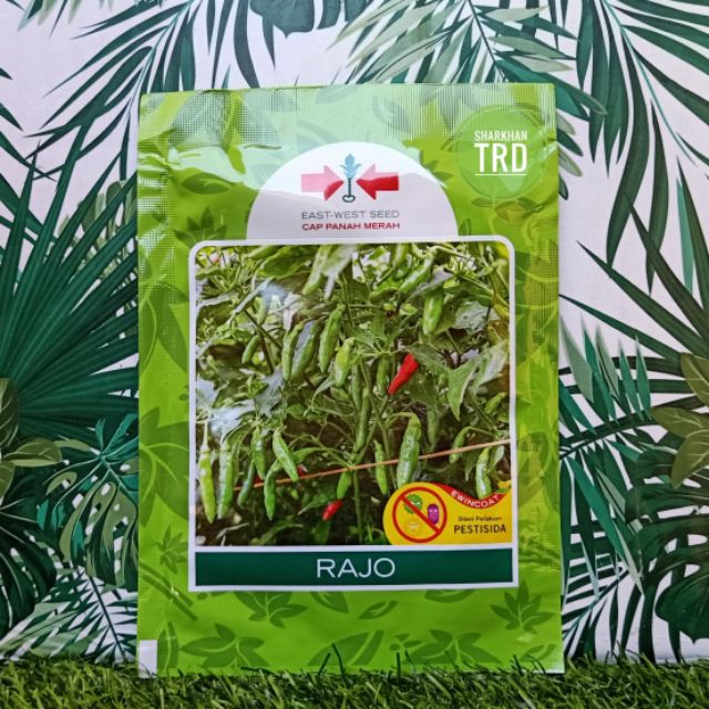 Original Paket 2250 Seeds @ Biji RAJO Biji Benih Cili Padi Kampung Hot Pepper Seeds Cap Panah Merah East West Seed.