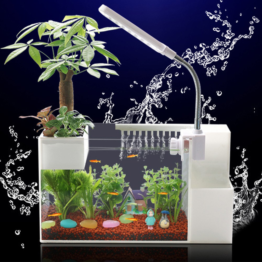 small water filter fish tank