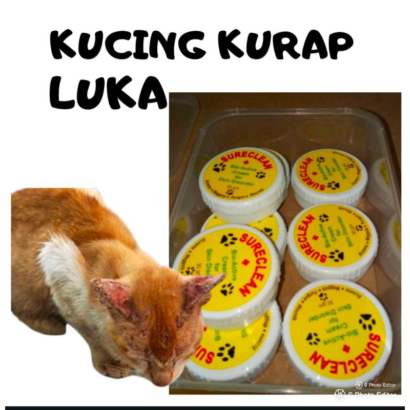 😺 ️😎SURE CLEANUBAT KURAP SAPU KUCING😎 ️😺Antifungal  Shopee Malaysia