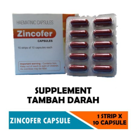 Zincofer Ubat Tambah Darah Untuk Wanita Hamil 10biji Shopee Malaysia