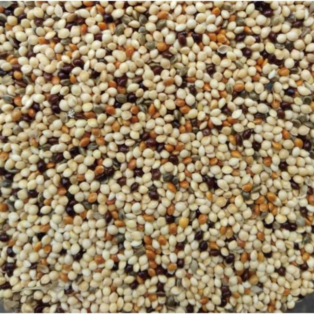 (1Gunny) Mix Millet Bird Feed Food 20kg Shopee Malaysia