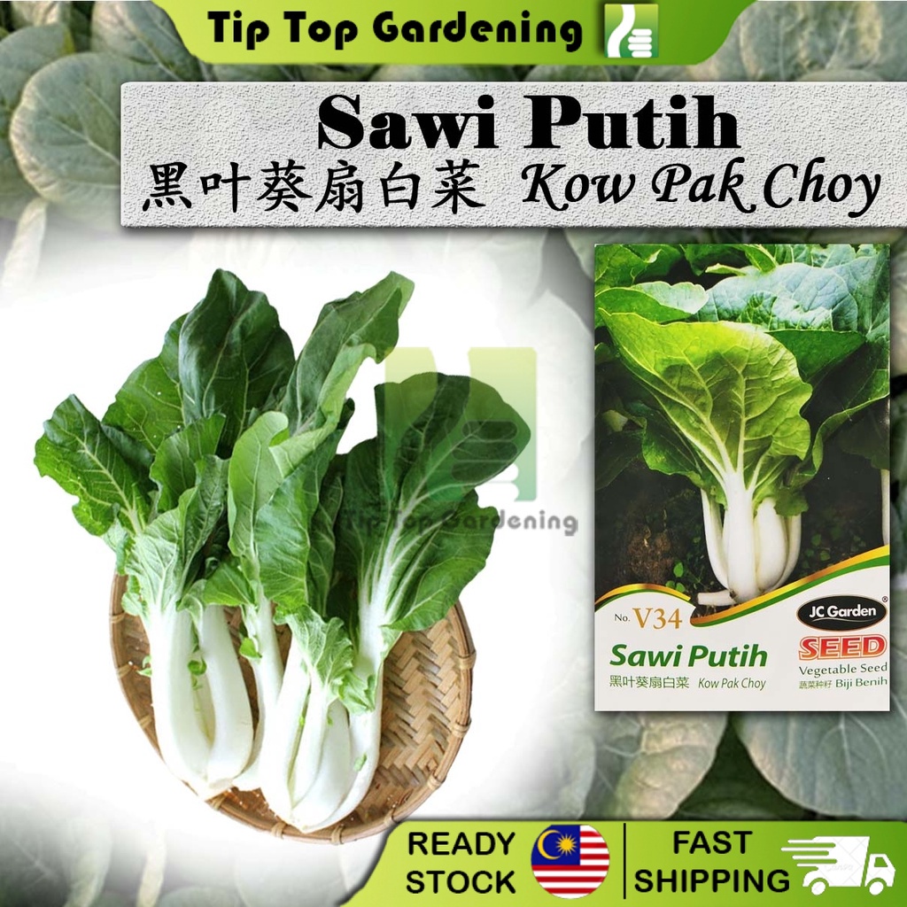 V34 Kow Pak Choy Jc Garden Biji Vegetable Seed Biji Benih Sawi Putih