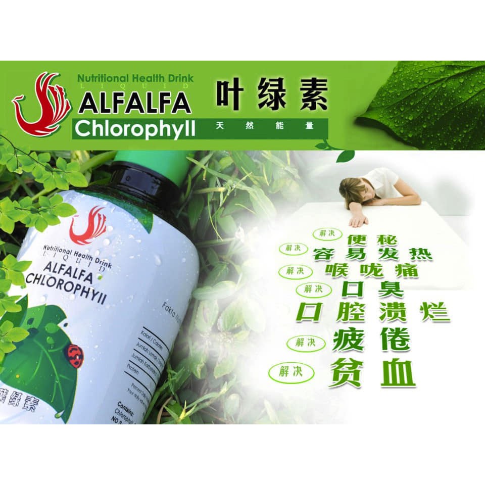 Ready Stock Phoenix Alfalfa Chlorophyii 紫花苜蓿叶绿素 Shopee Malaysia