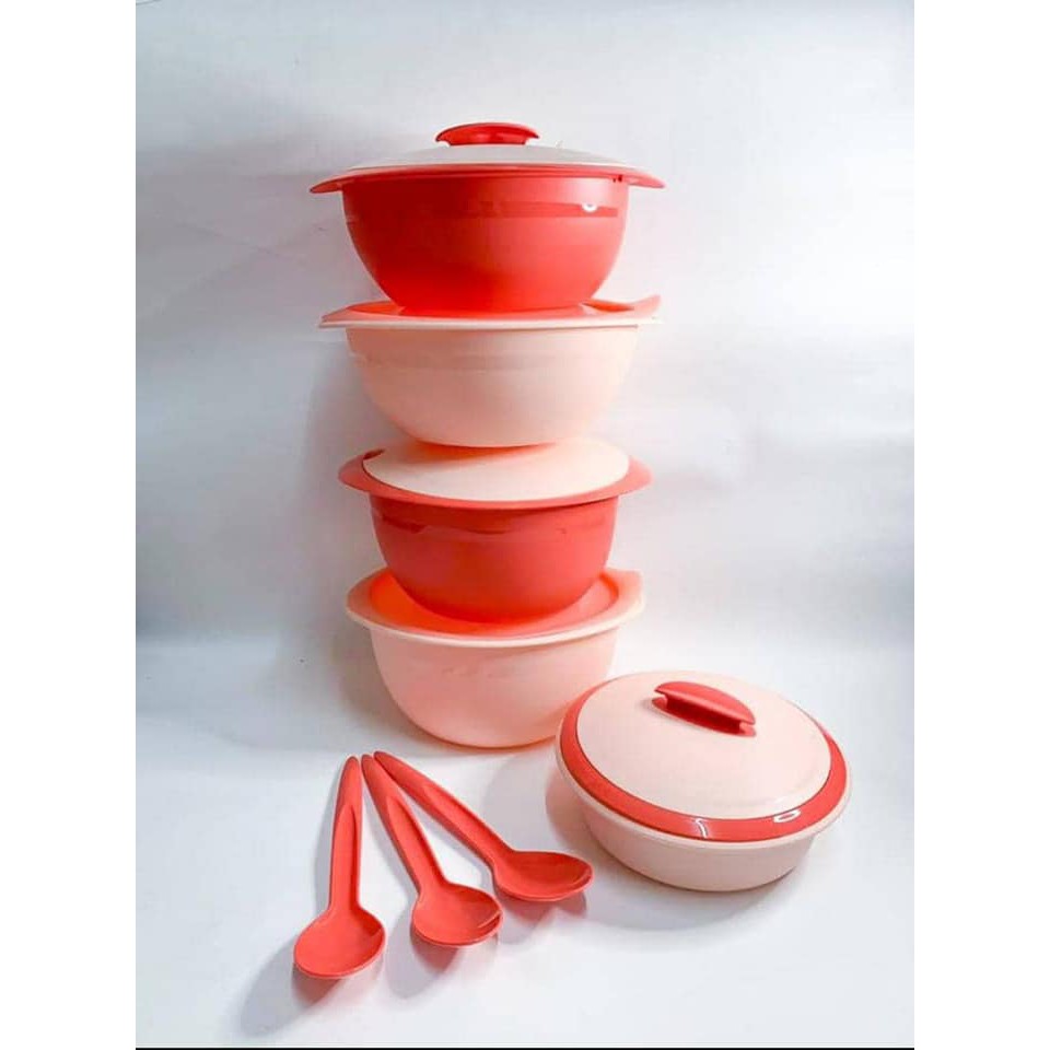 Tupperware Insulated Server with Spoon With Spoon Full Set