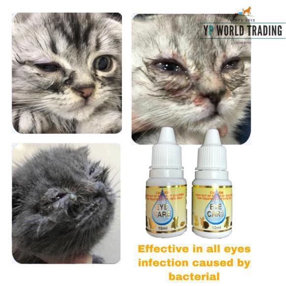 Buy (Ready Stock) Ubat Kucing Sakit Mata / Eye Care for Cats 