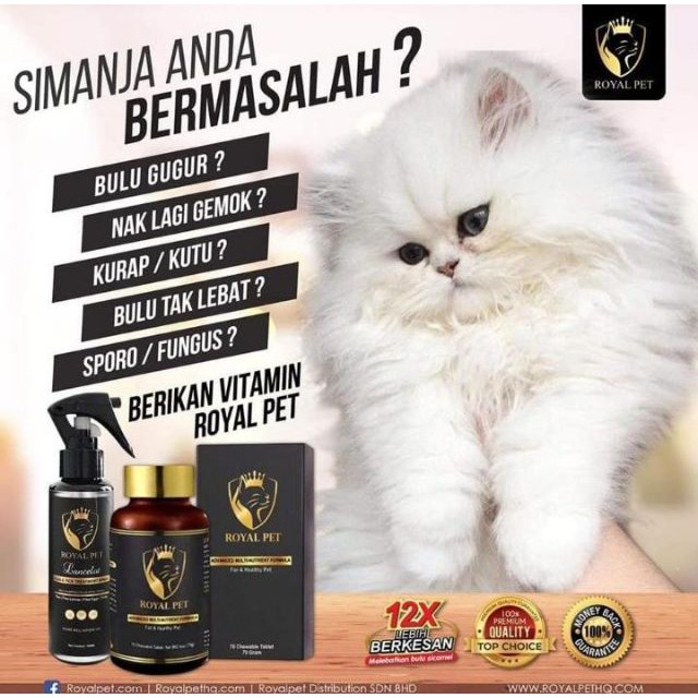 ROYALPET VITAMIN KUCING ORIGINAL HQ  Shopee Malaysia