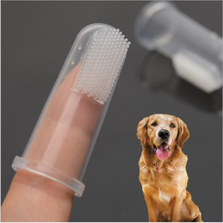 dog teeth cleaning finger brushes