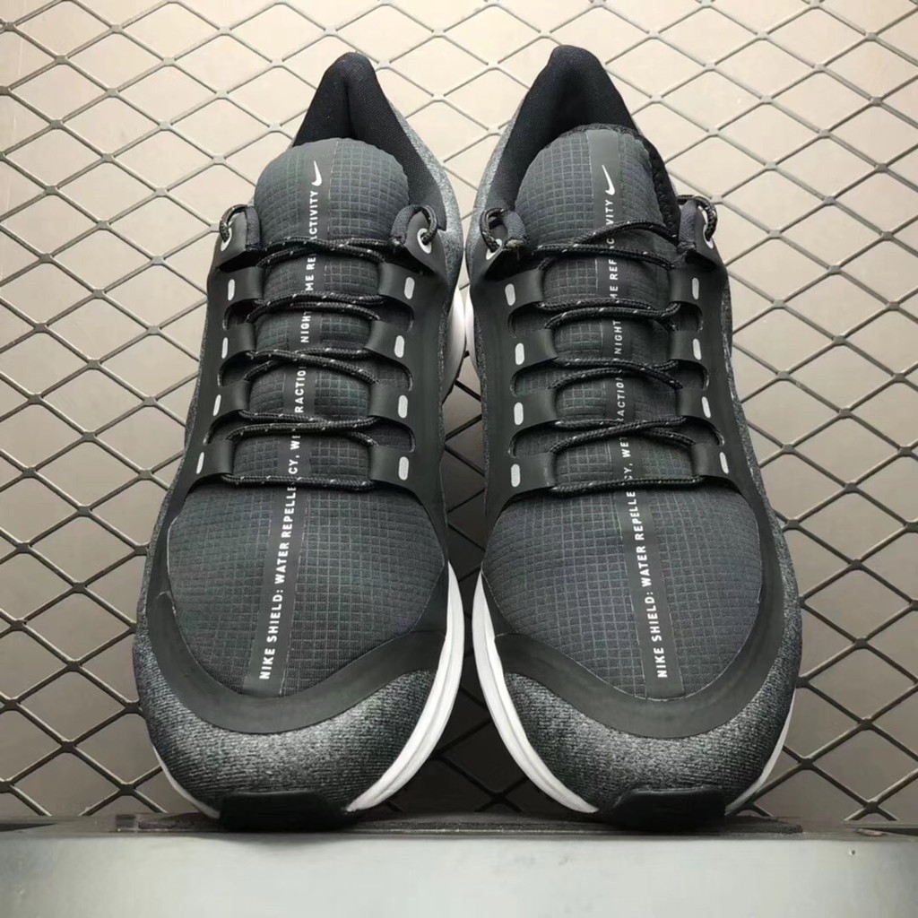 pegasus 35 shield review
