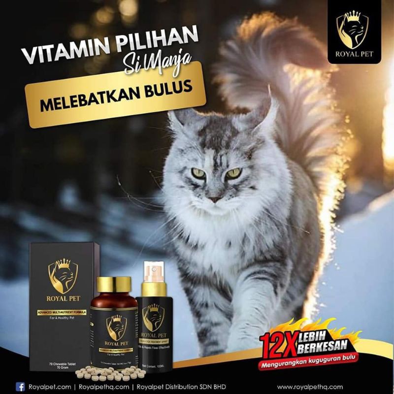 Vitamin Kucing Royal Pet Gebu 1 Botol Ready Stock 100 Original Hq Freegift Shopee Malaysia
