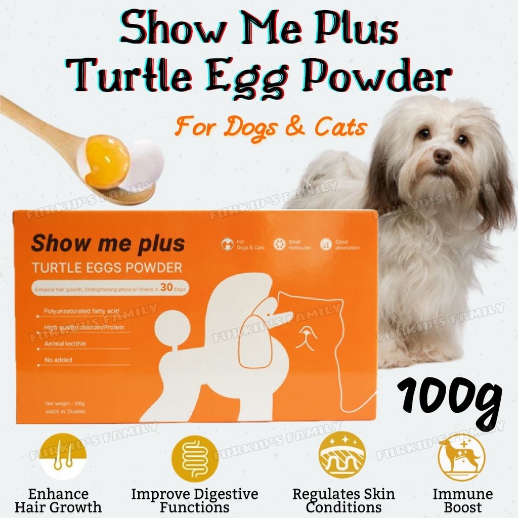 does an egg help a dogs coat