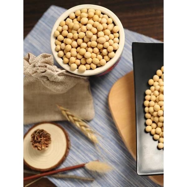 Soy Beans 黄豆 Kacang Soya 200g 500g 1kg Shopee Malaysia