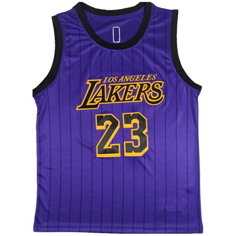 lakers lebron purple jersey