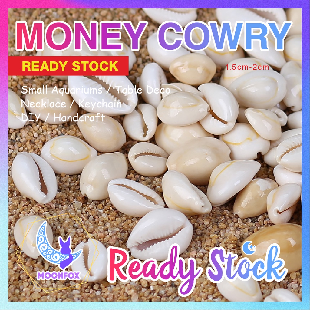 20pcs 1.5-3cm shell Natural Money Cowry Monetaria Moneta Aquarium Seashell Ornament for Decor Necklace Keychain DIY