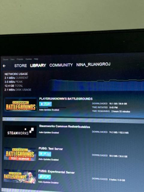 pubg steam price