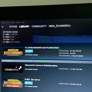 pubg price on steam