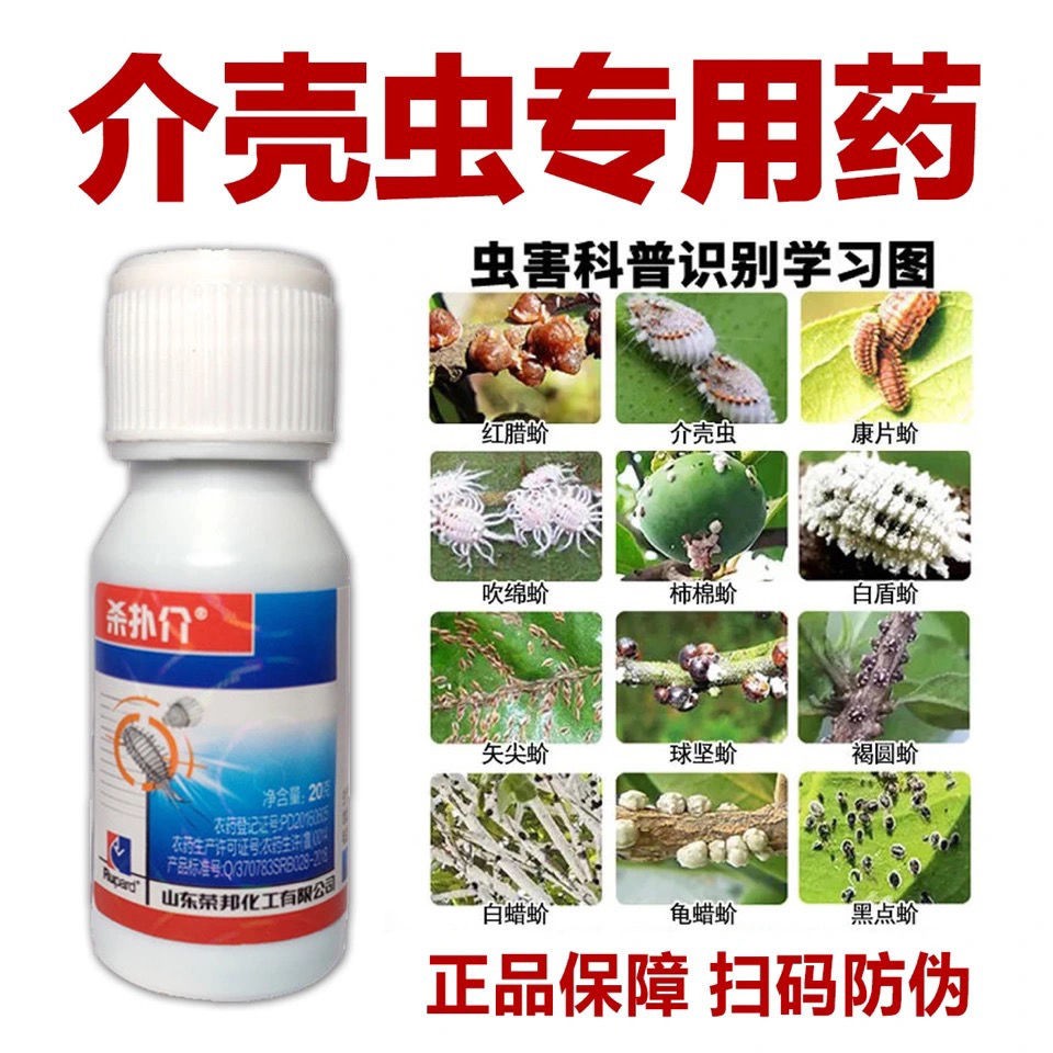 介壳虫杀虫剂花卉园艺多肉通用吡虫噻嗪酮果树吹绵蚧壳虫矢尖蚧虫