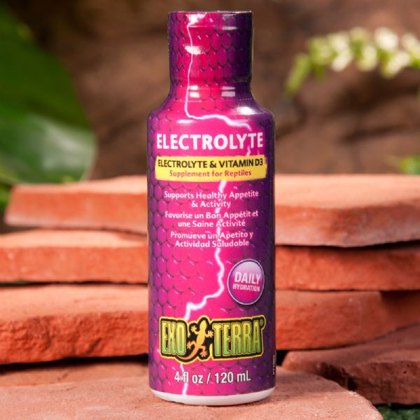 Reptile Electrolyte Exo Terra Electrolyte Vitamin D3 Supplement Calcium Absorption Healthy Bone Growth Lizard Shopee Malaysia