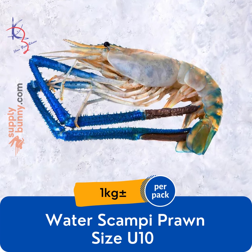 Water Scampi Prawn U10 5/6 (sold per kg) 大头虾 Udang Galah - Kaizer Frozen Seafood
