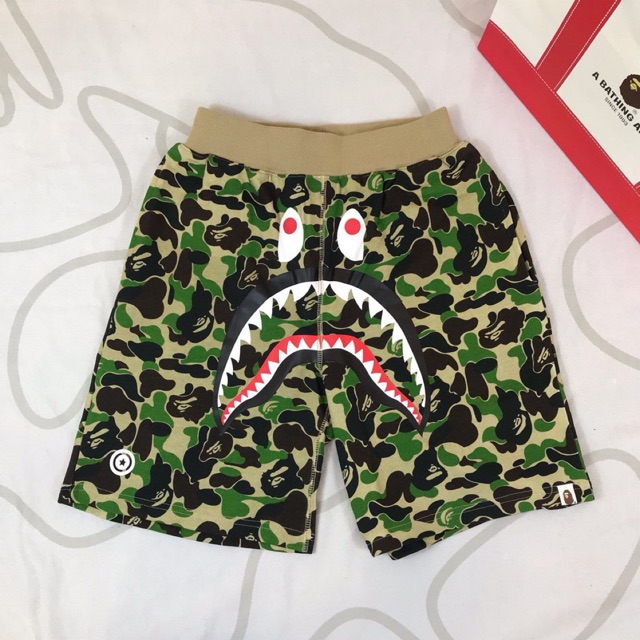 bape multicolor shorts