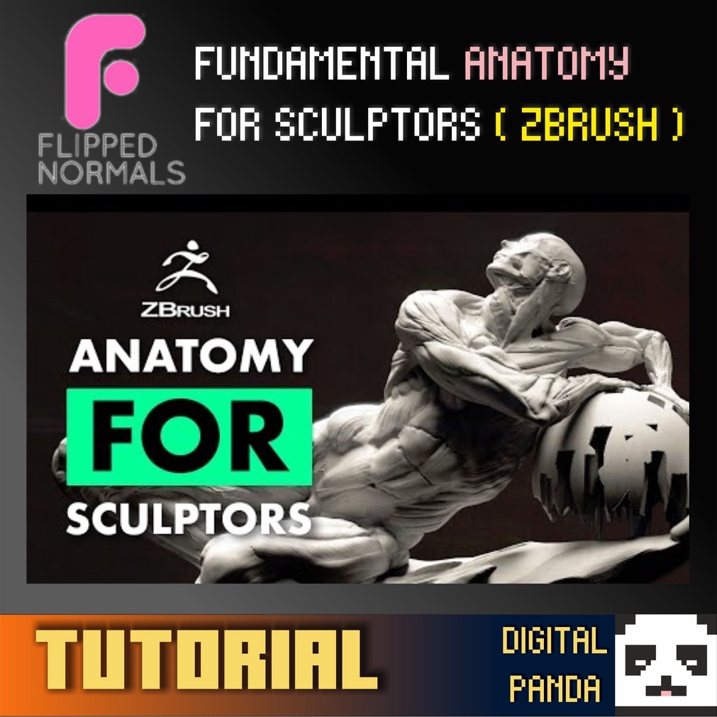 [FULL TUTORIAL] FUNDAMENTAL ANATOMY FOR SCULPTORS ( ZBRUSH ) Shopee