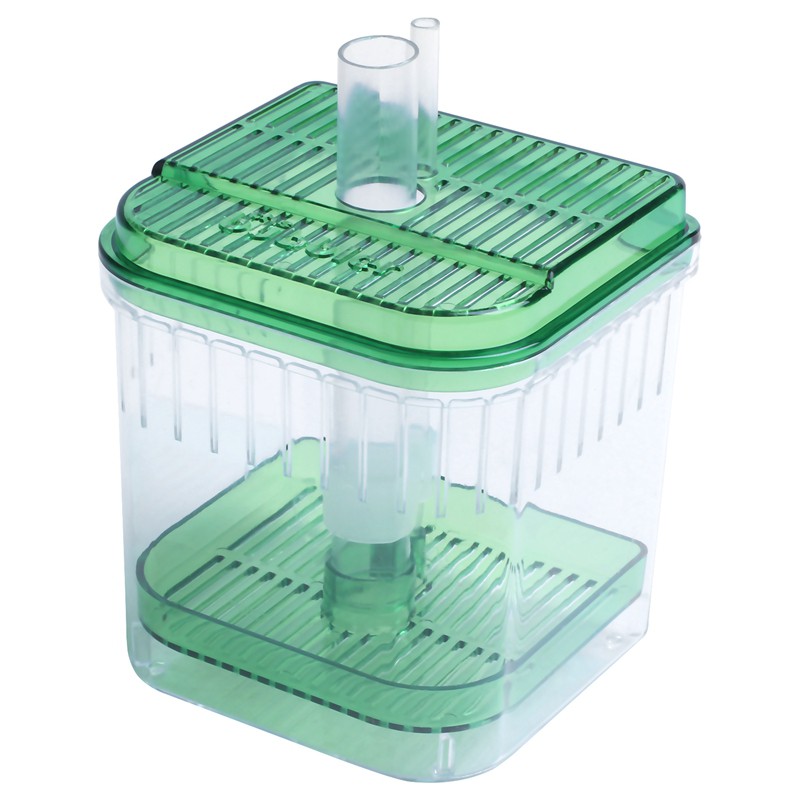 Plastic Square Fish Tank Aquarium Filter Bottom Box Transparent Green Shopee Malaysia